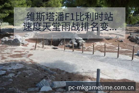 维斯塔潘F1比利时站速度天堂雨战排名变化分析 - MK体育